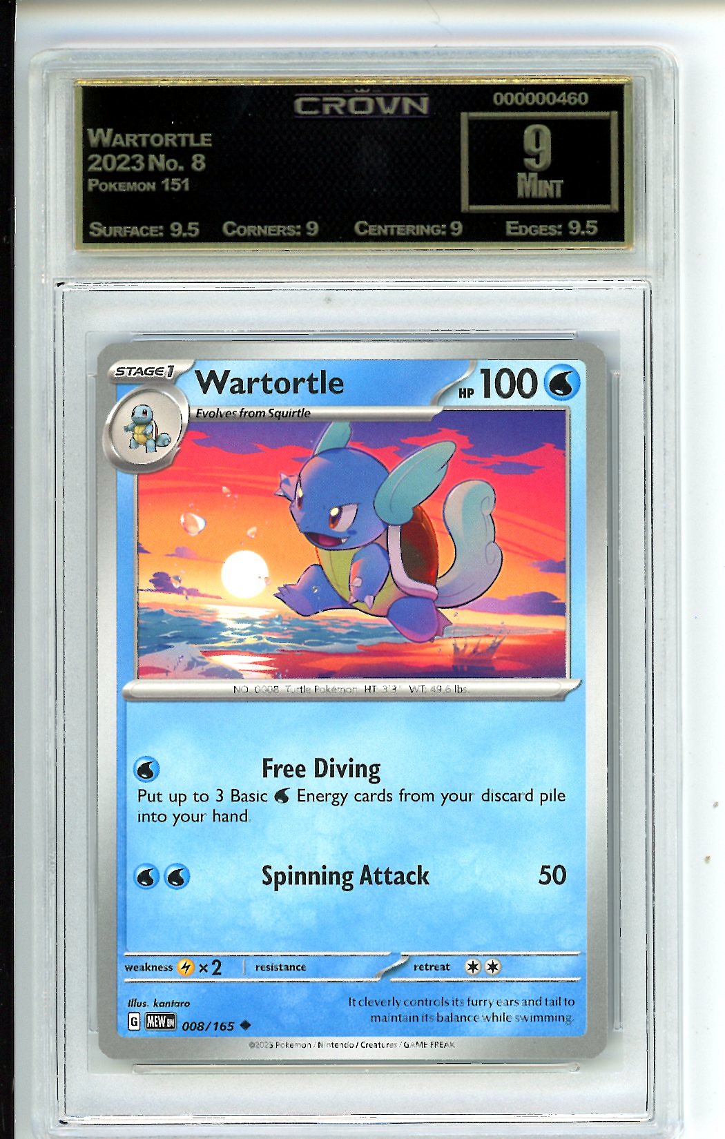Wartortle