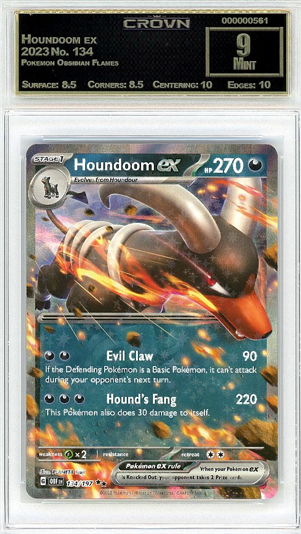 Houndoom ex