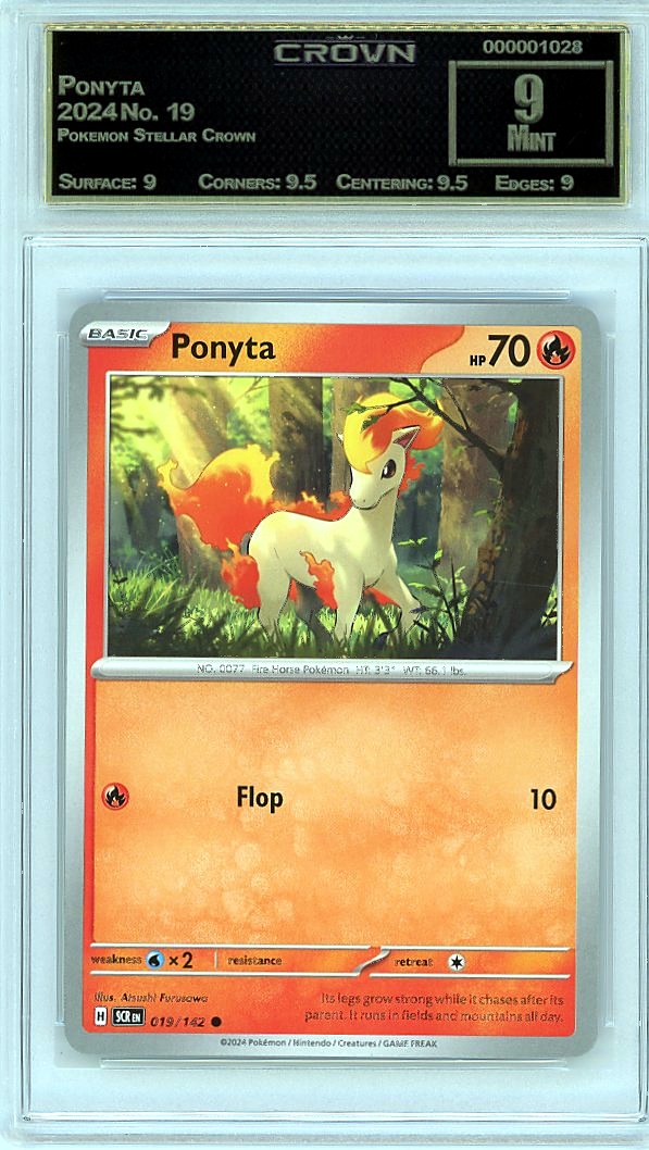 Ponyta