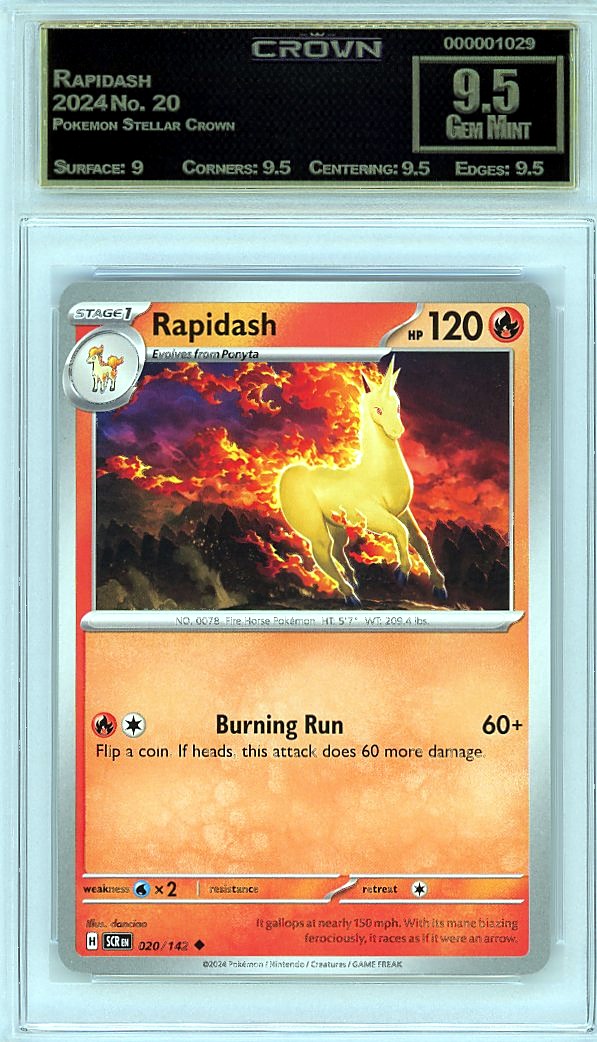 Rapidash
