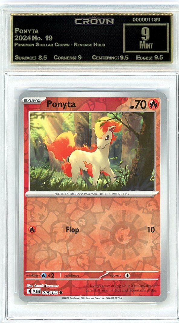 Ponyta