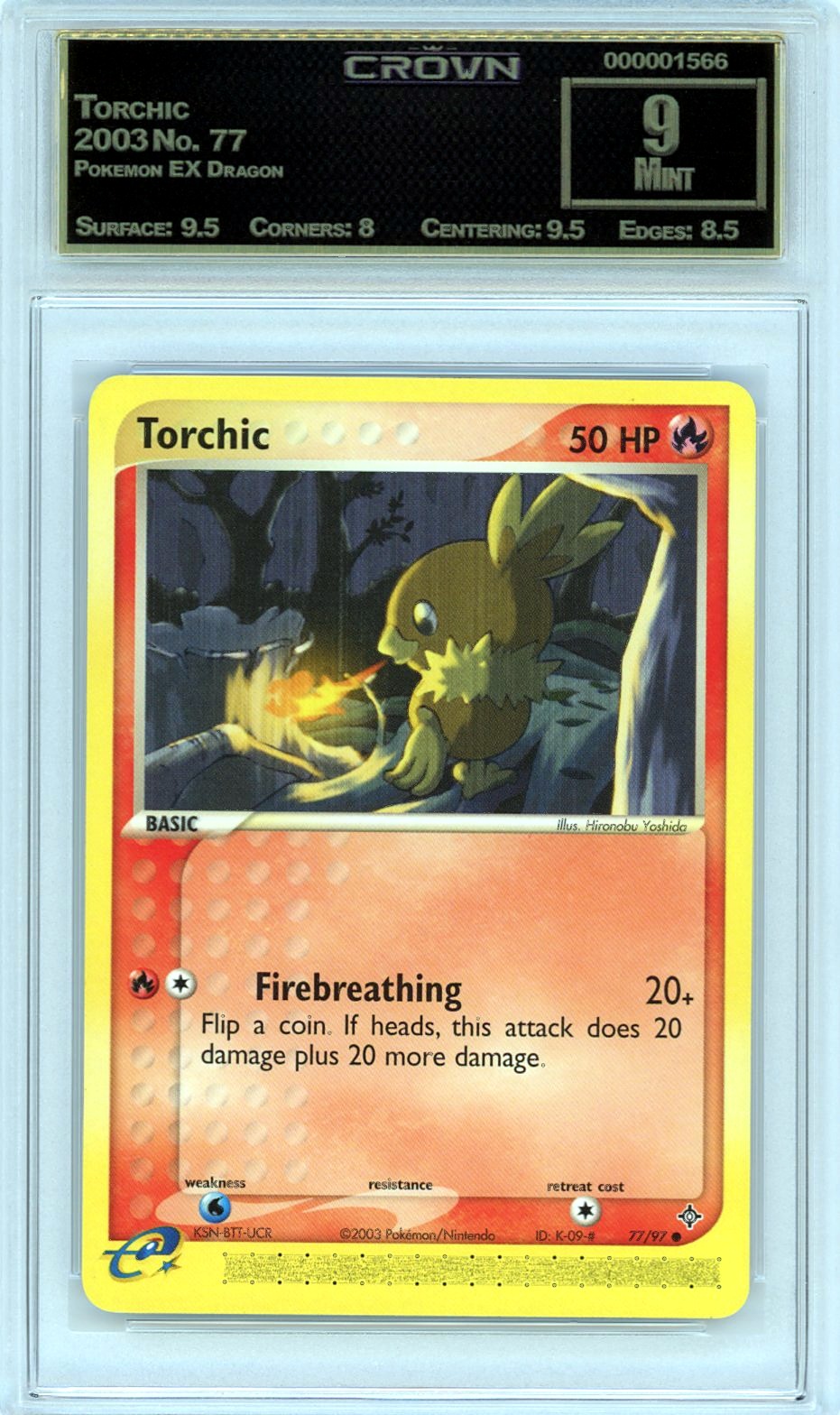 Torchic