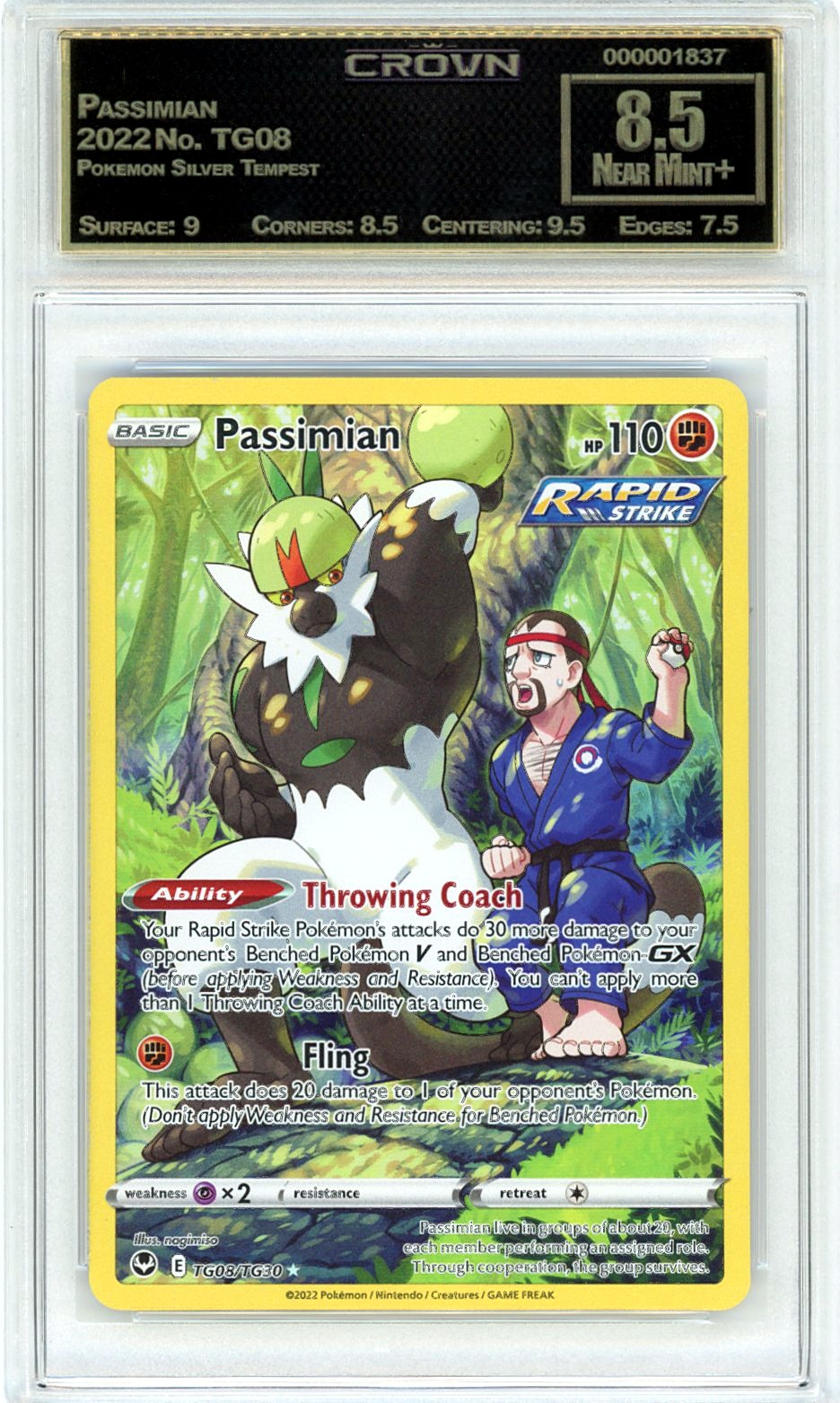 Passimian