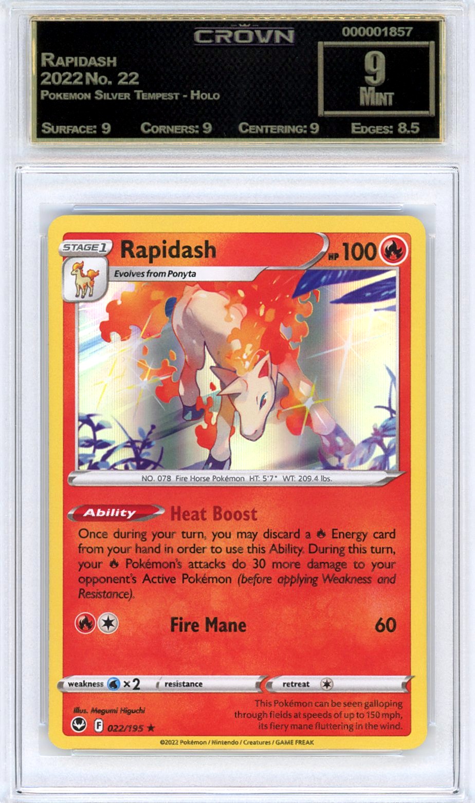 Rapidash