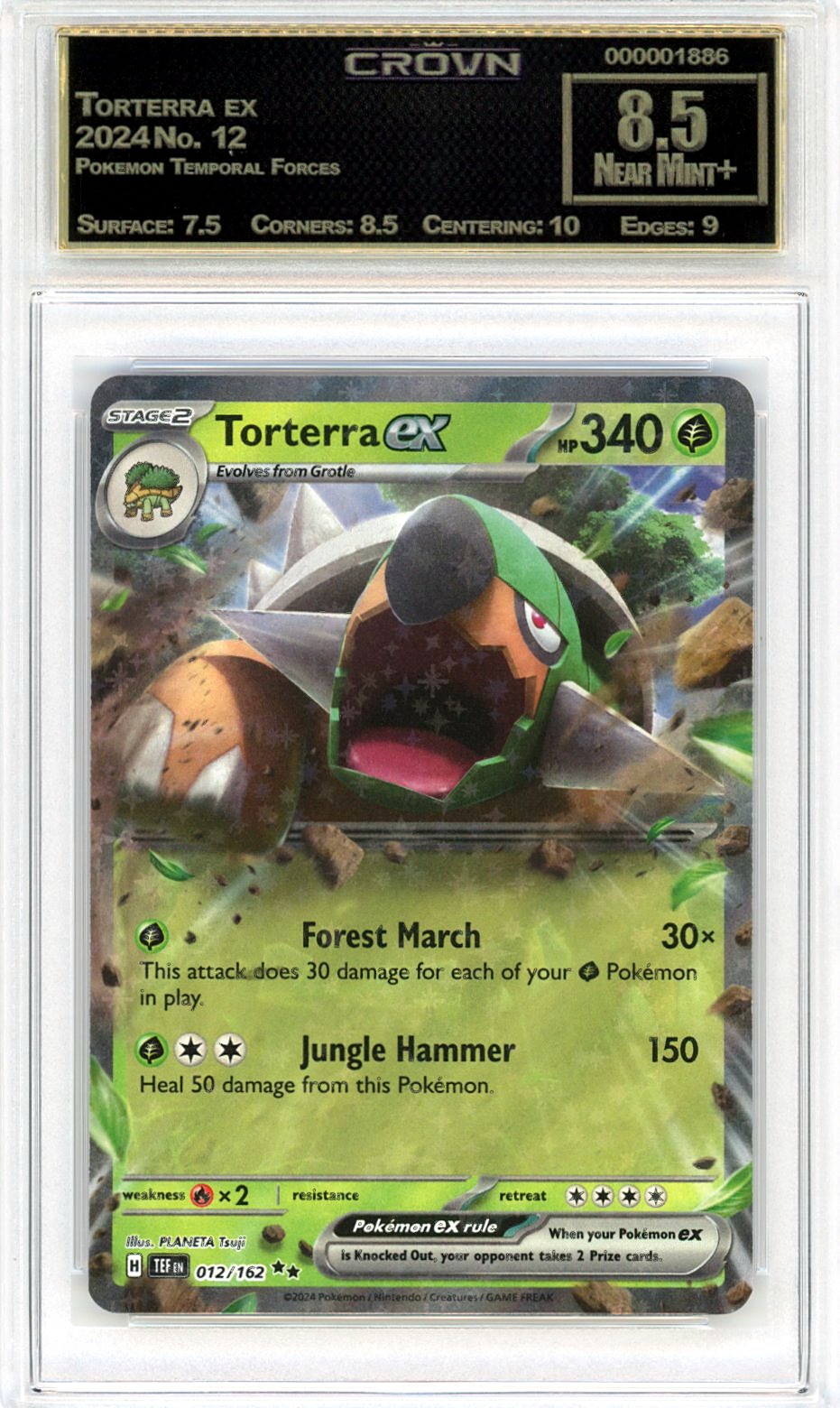 Torterra ex
