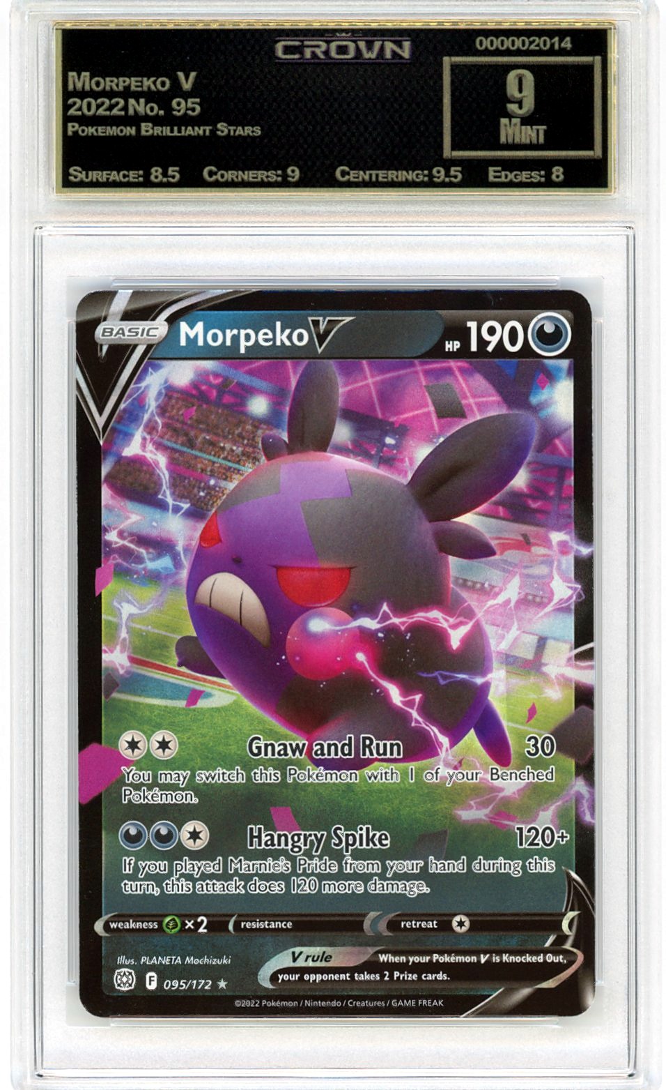 Morpeko V