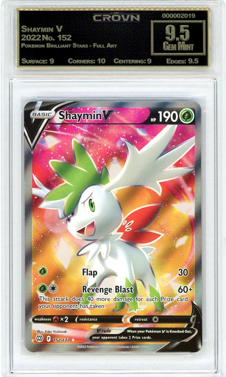 Shaymin V