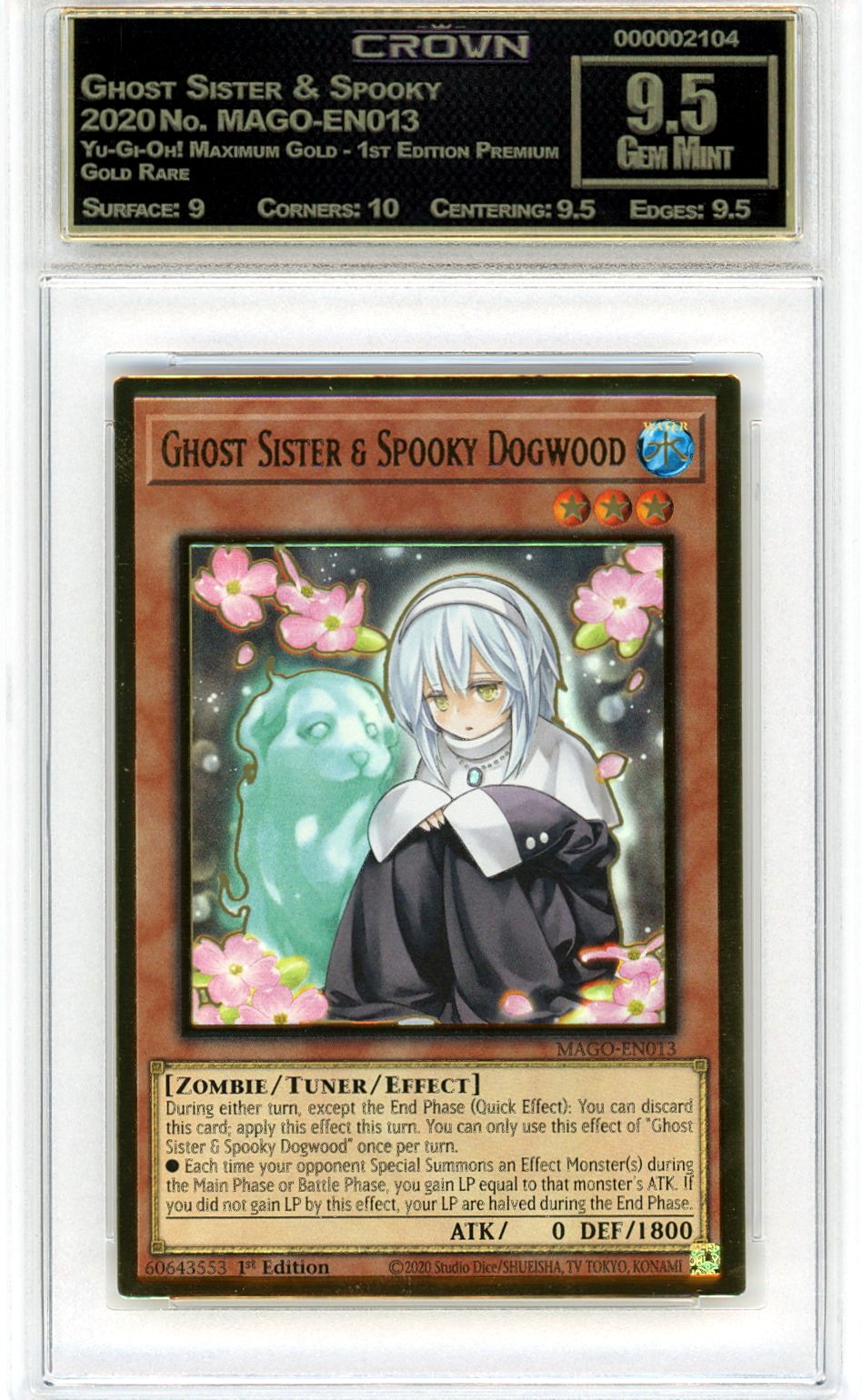 Ghost Sister & Spooky Dogw…