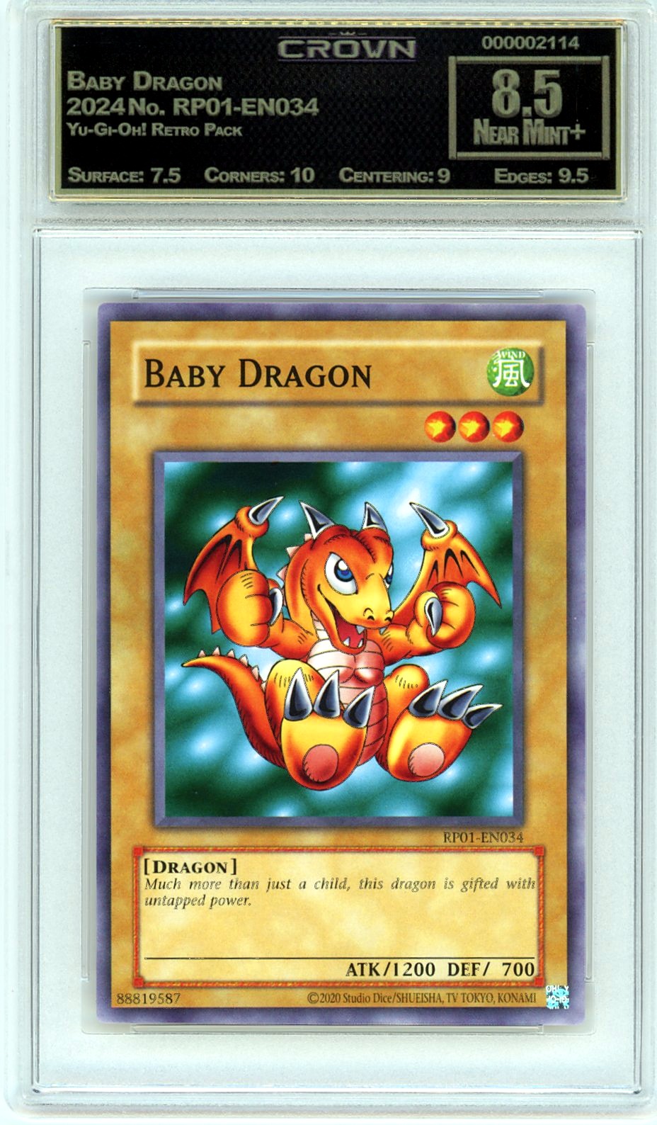 Baby Dragon