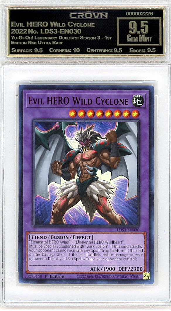 Evil HERO Wild Cyclone