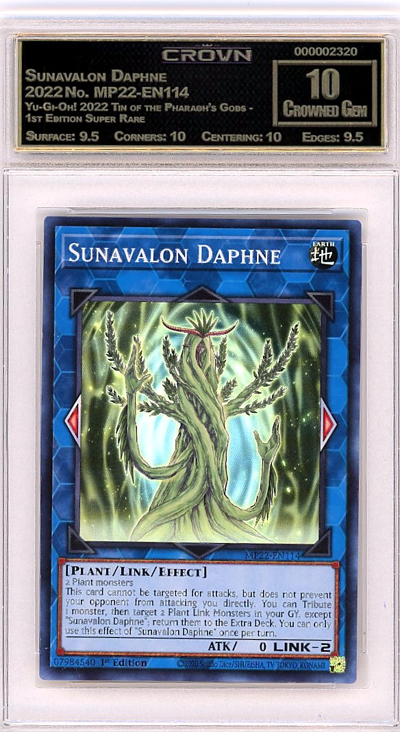 Sunavalon Daphne