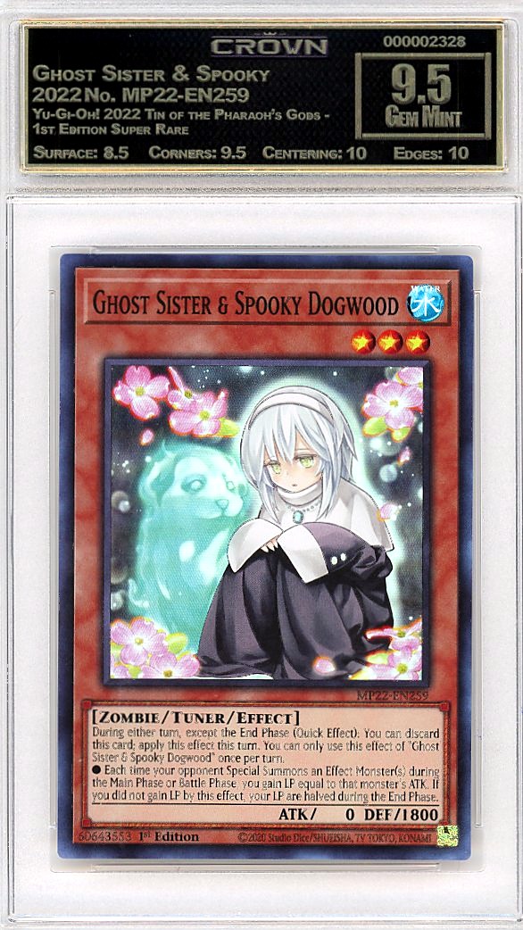 Ghost Sister & Spooky Dogw…