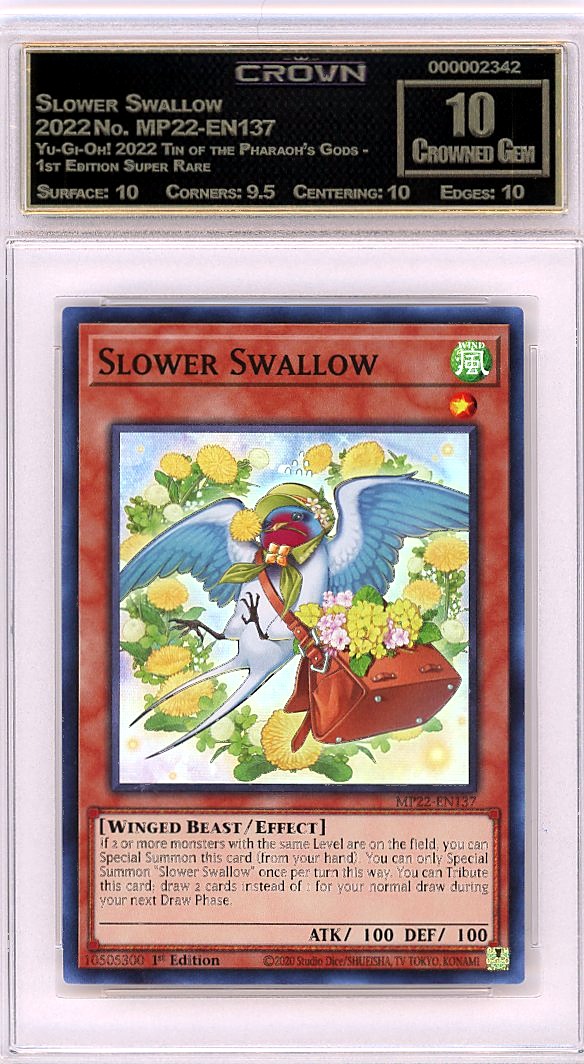 Slower Swallow
