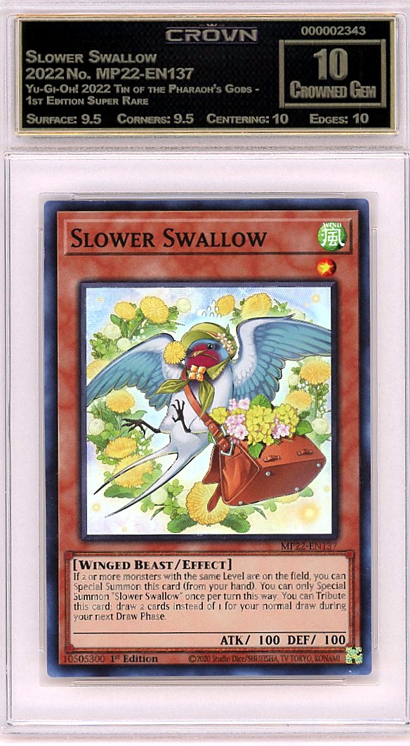 Slower Swallow