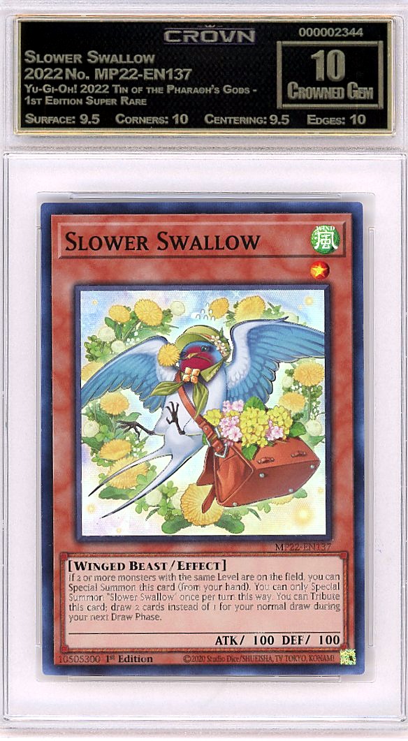 Slower Swallow