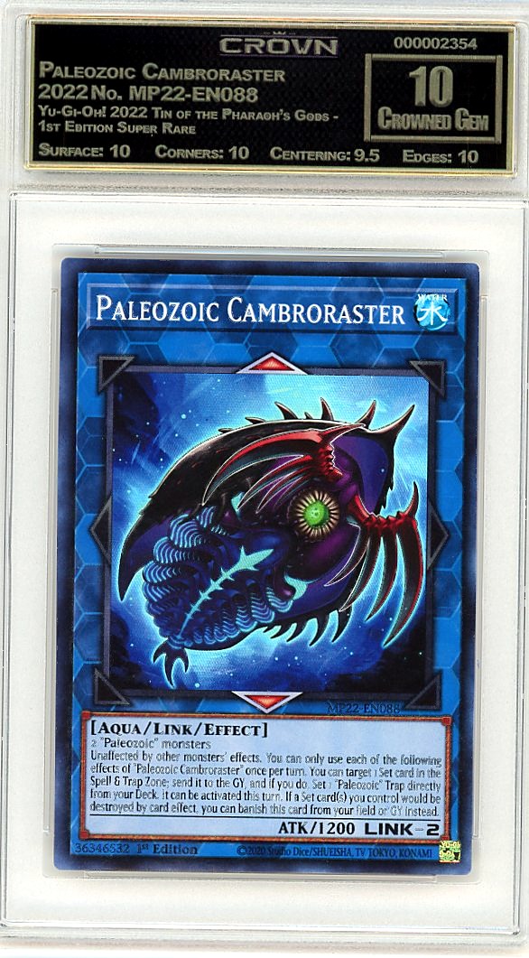 Paleozoic Cambroraster