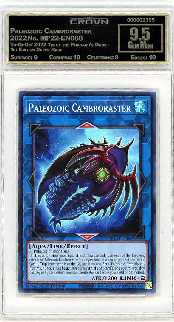 Paleozoic Cambroraster