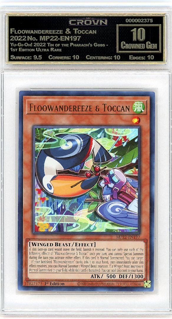 Floowandereeze & Toccan