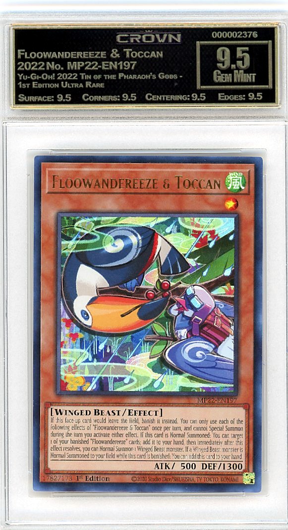 Floowandereeze & Toccan