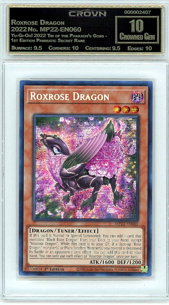Roxrose Dragon