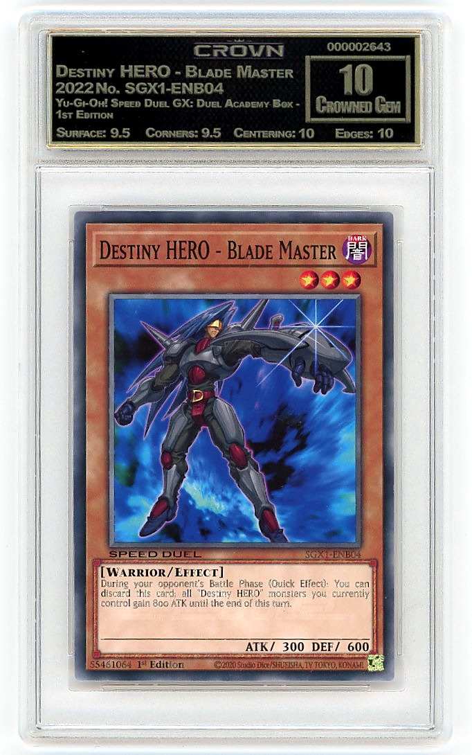 Destiny HERO - Blade Master