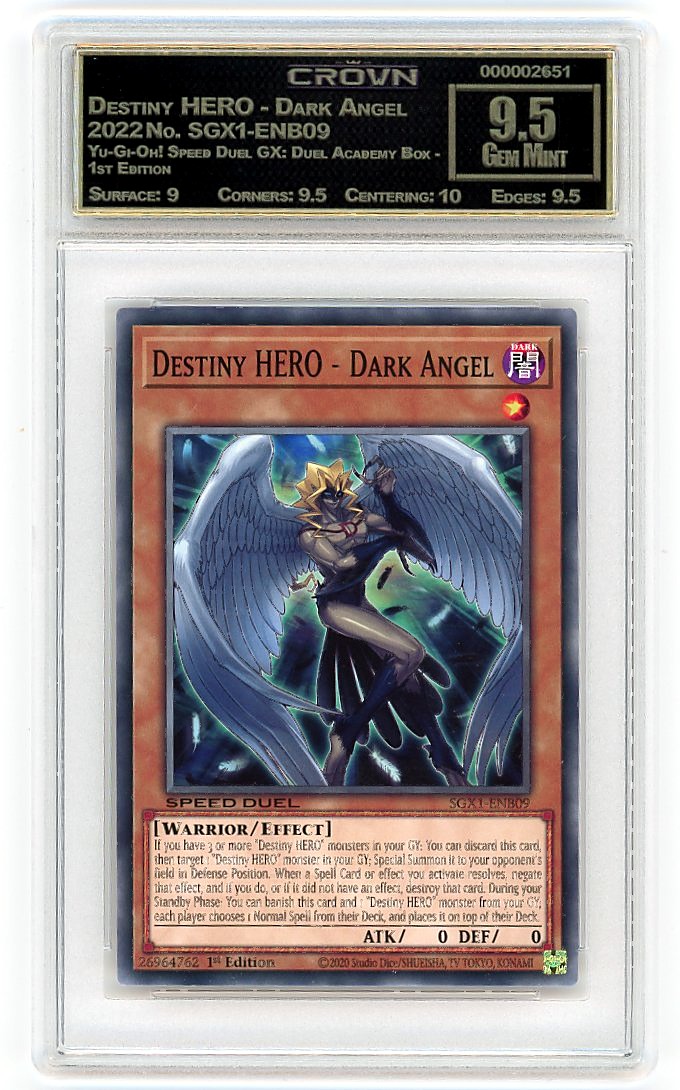 Destiny HERO - Dark Angel