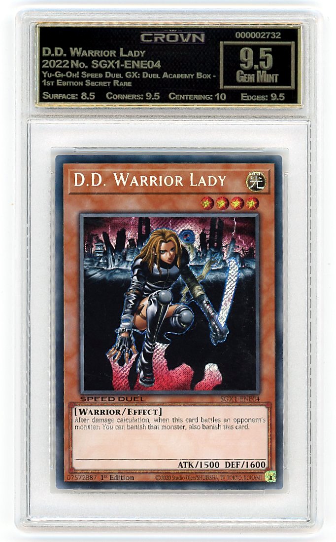 D.D. Warrior Lady
