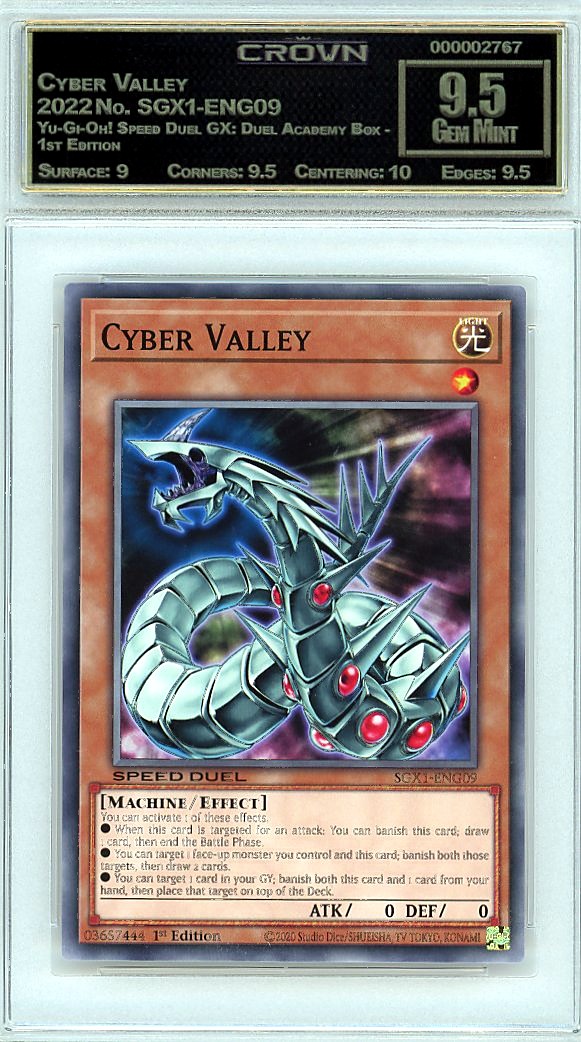 Cyber Valley
