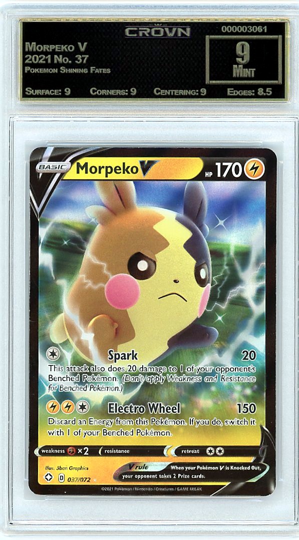 Morpeko V