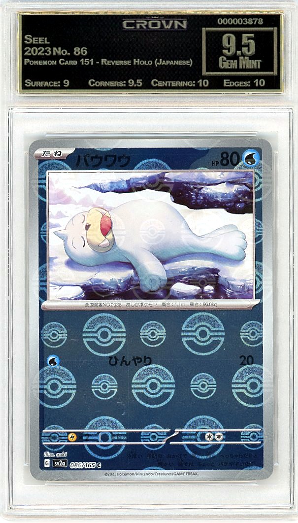 Seel
