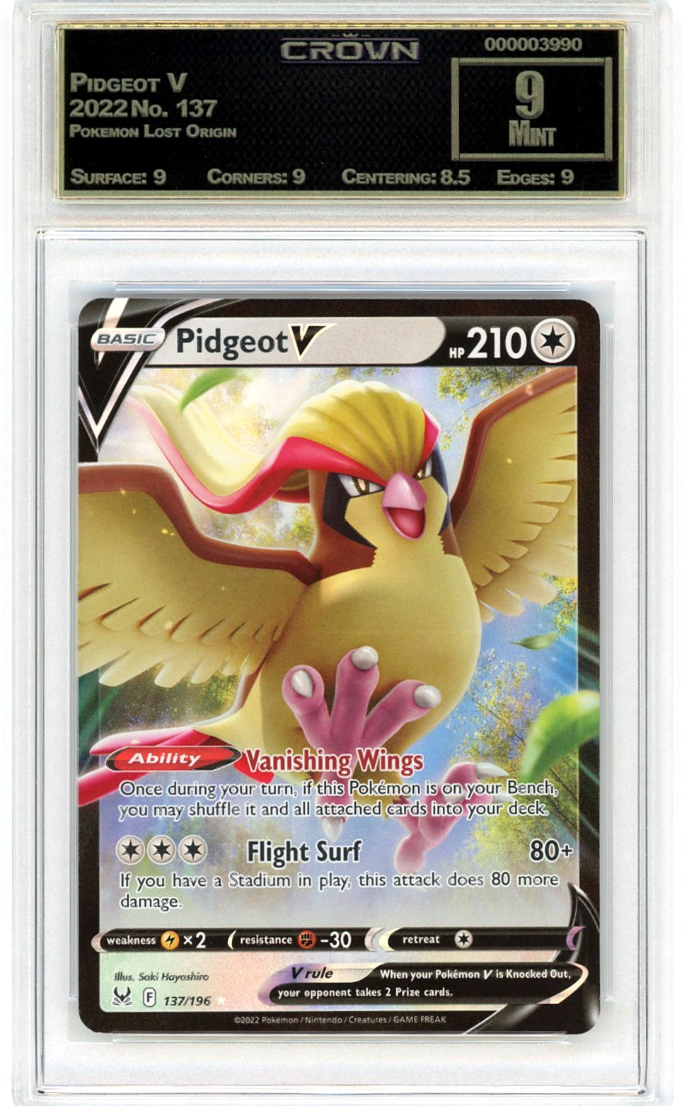 Pidgeot V