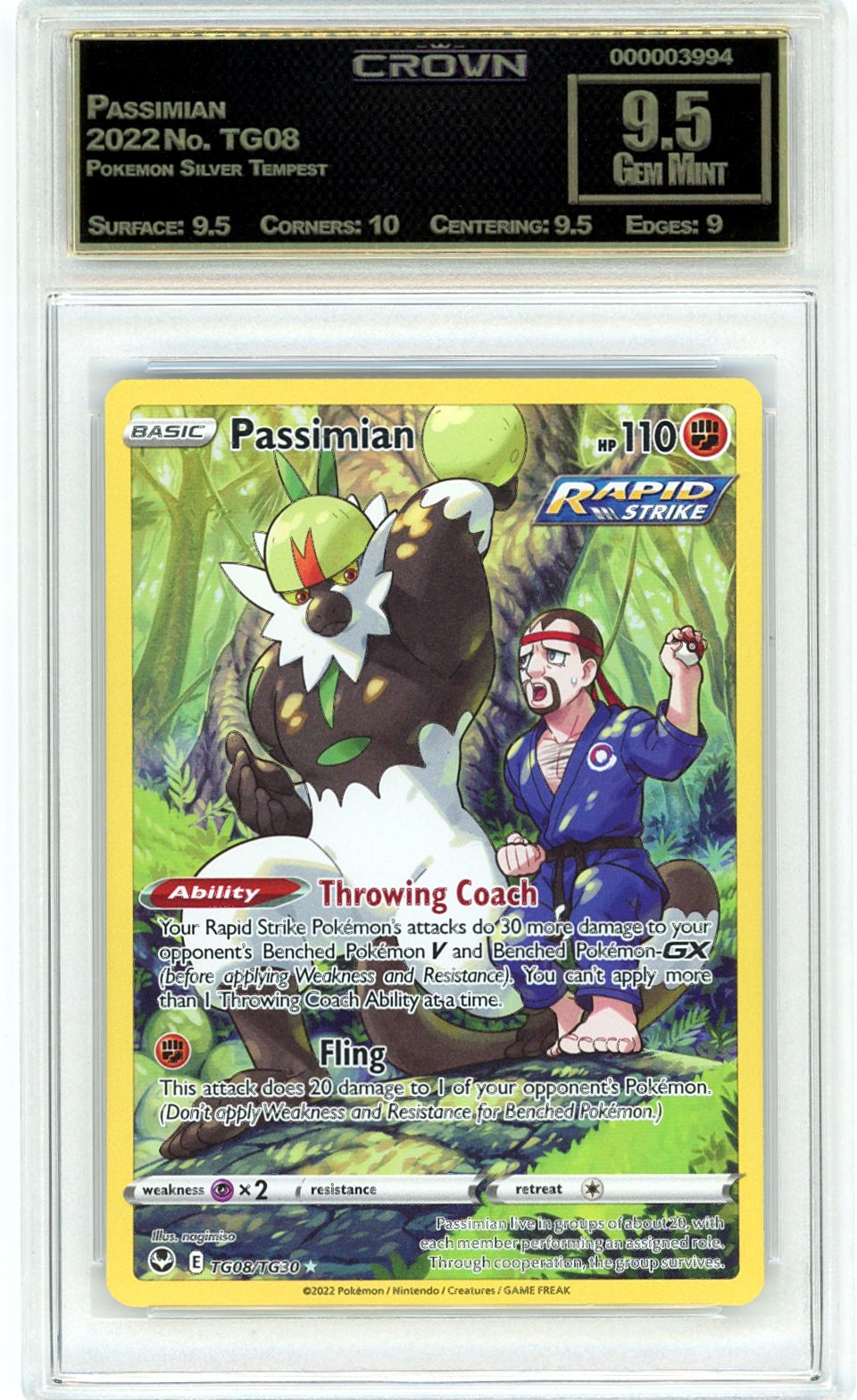Passimian