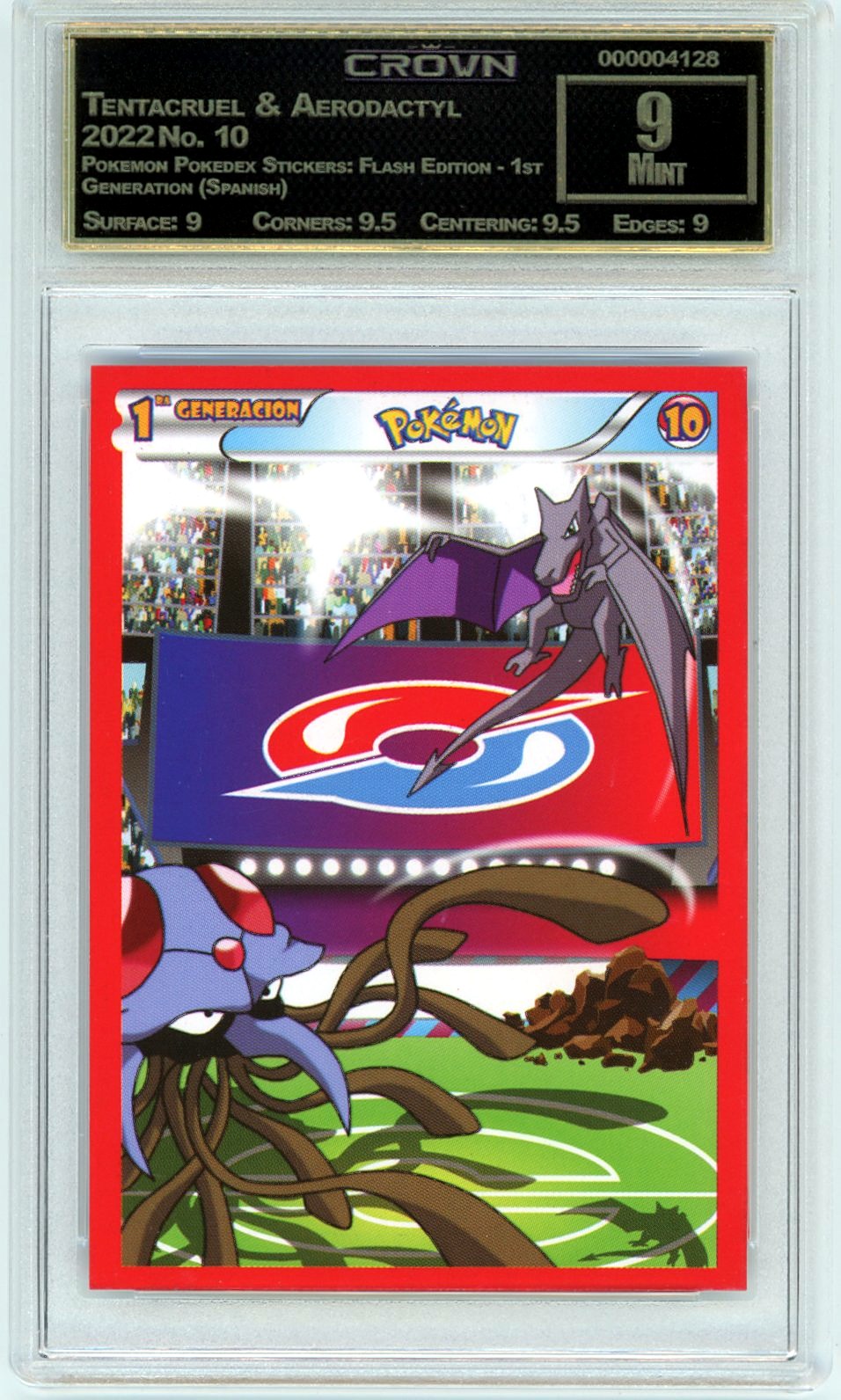 Tentacruel & Aerodactyl