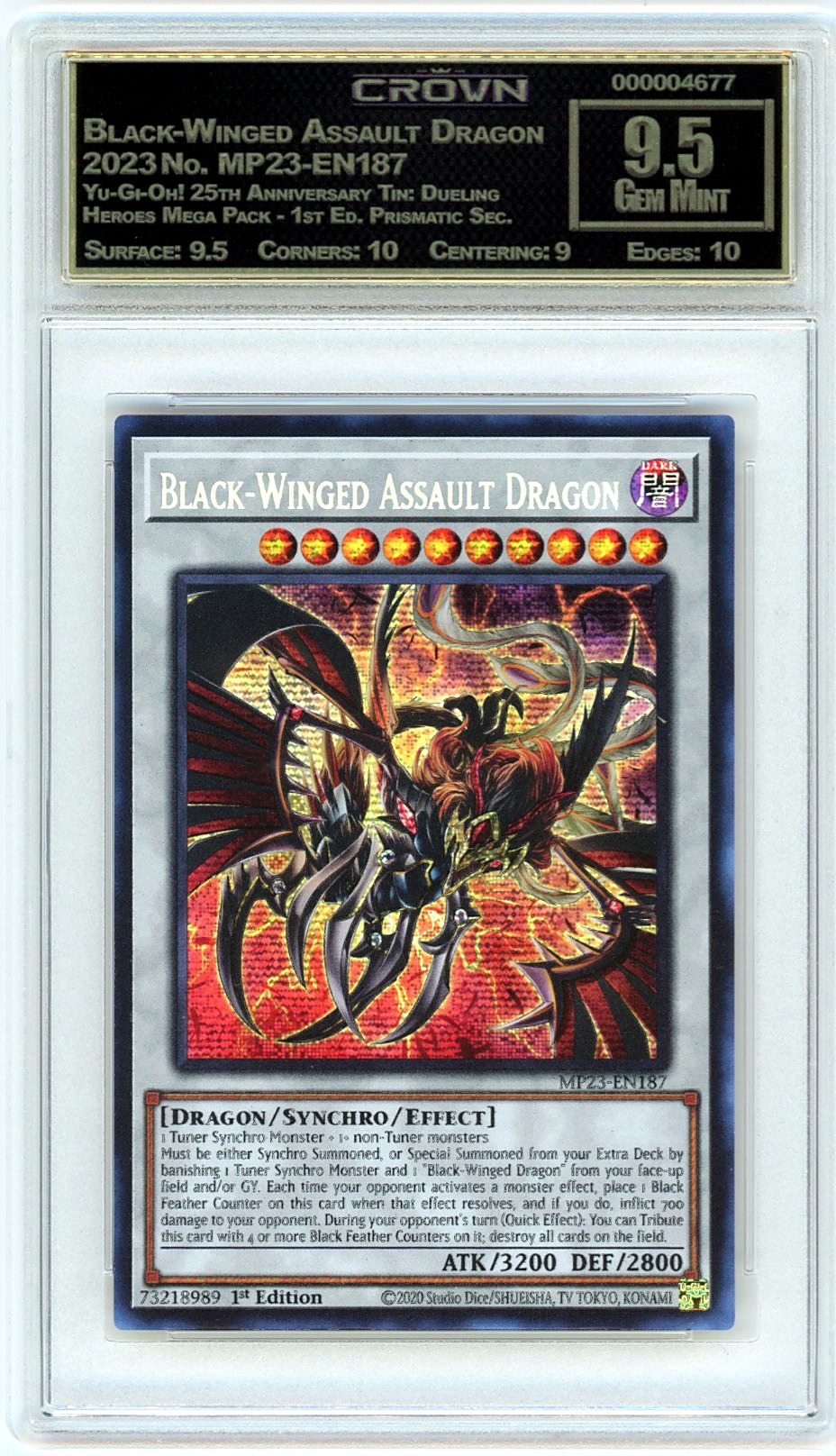 Black-Winged Assault Dragon