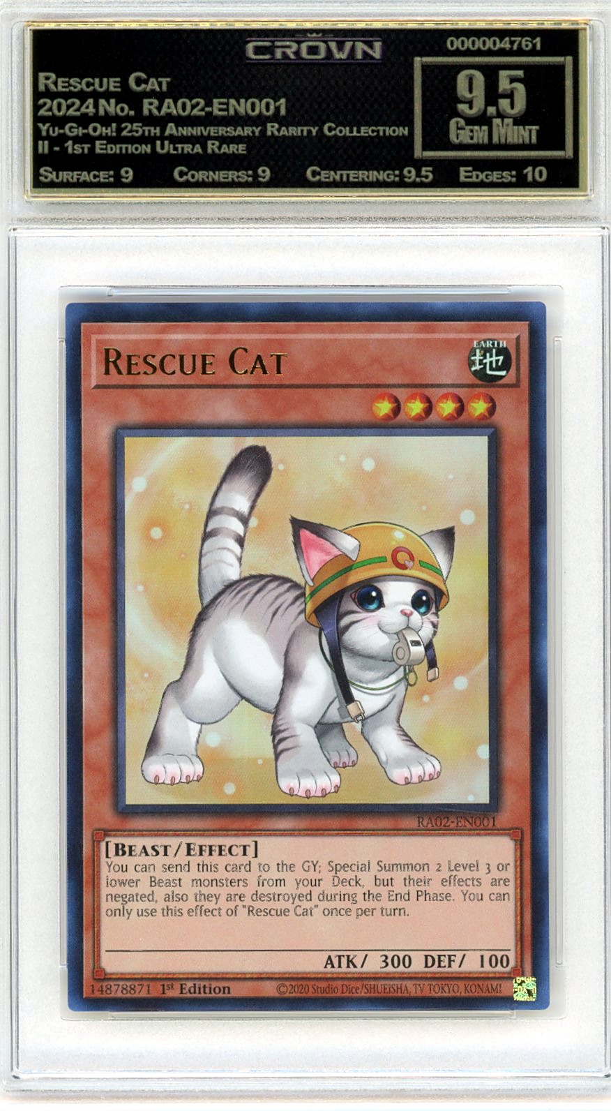 Rescue Cat