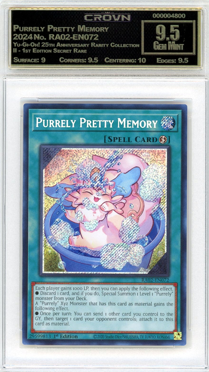 Purrely Pretty Memory