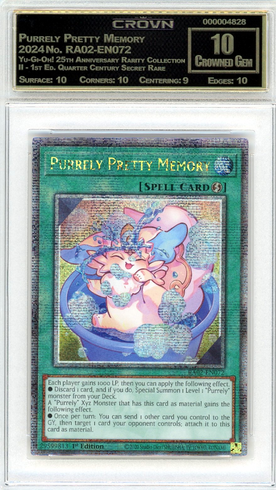 Purrely Pretty Memory