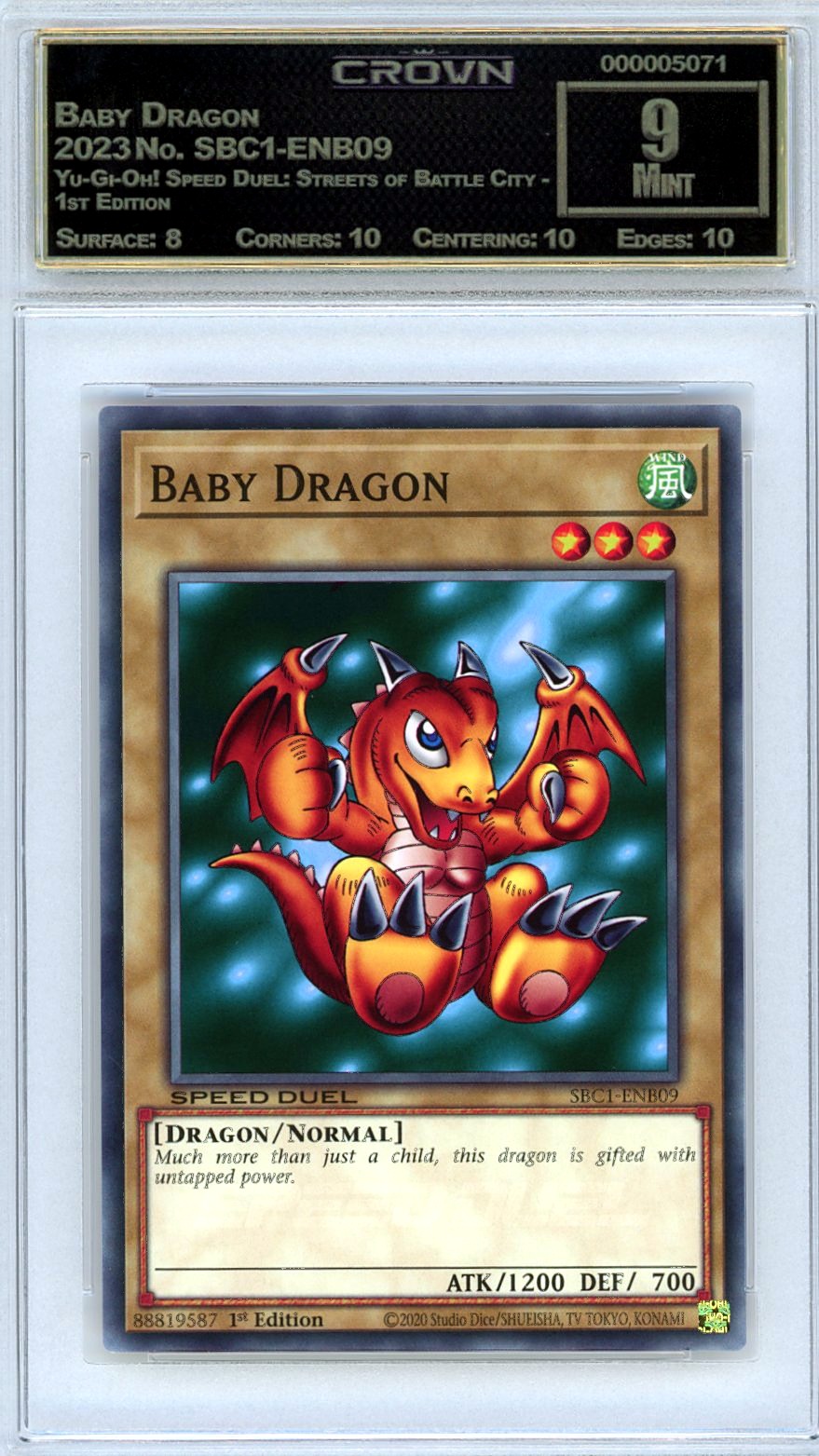 Baby Dragon