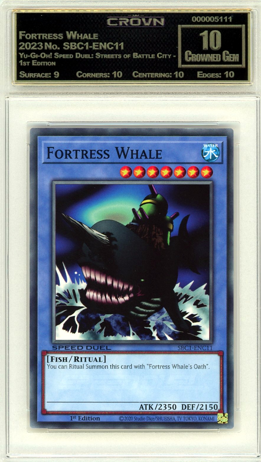 Fortress Whale