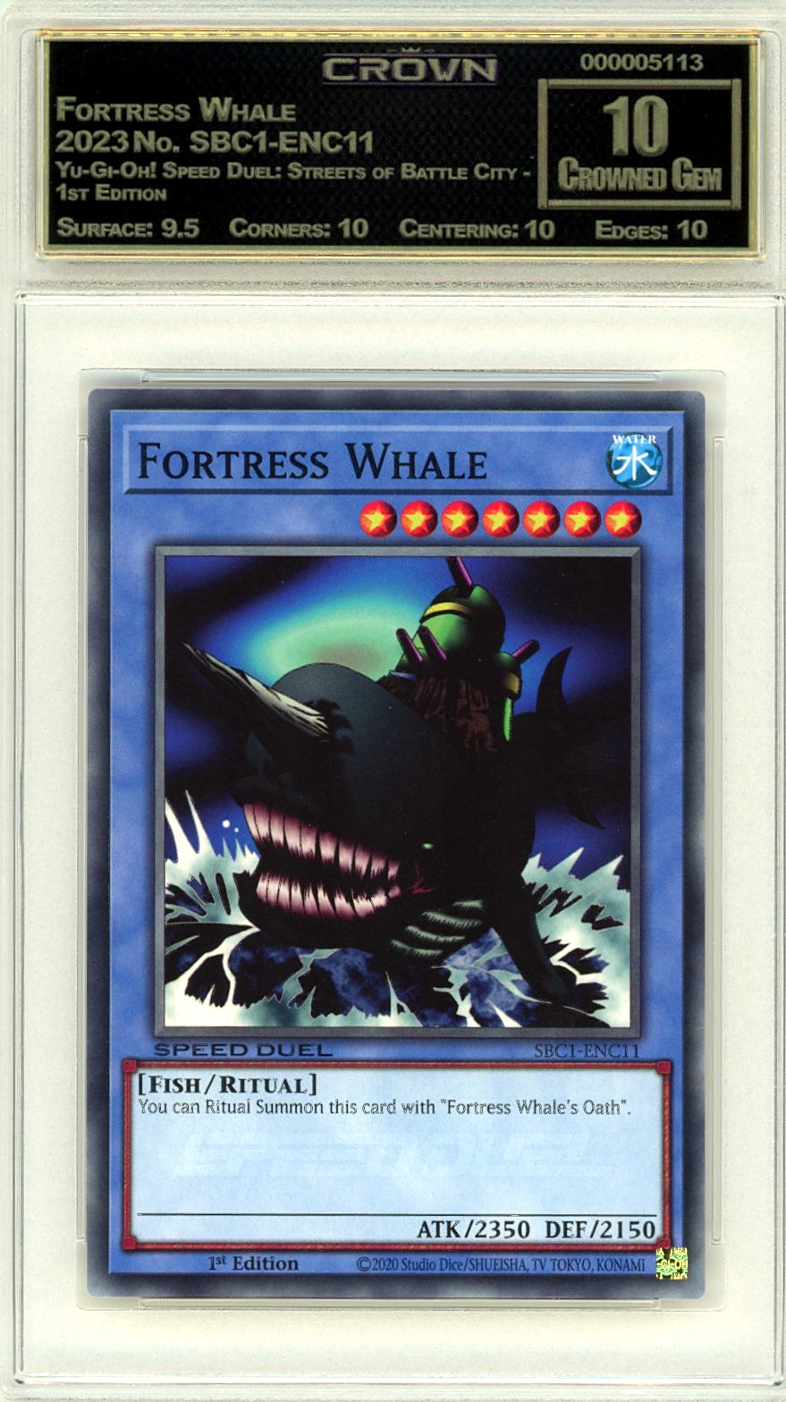 Fortress Whale