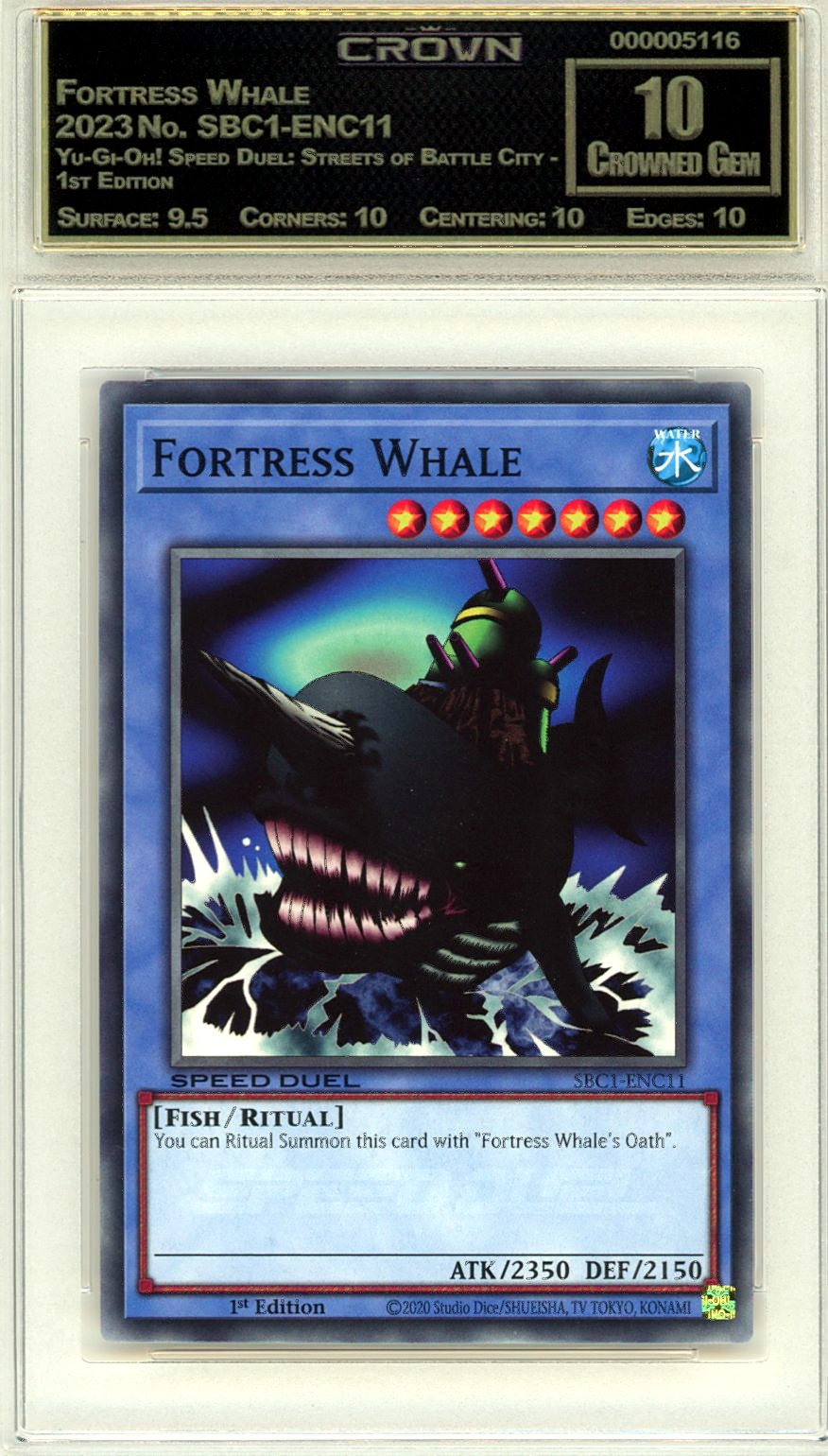 Fortress Whale