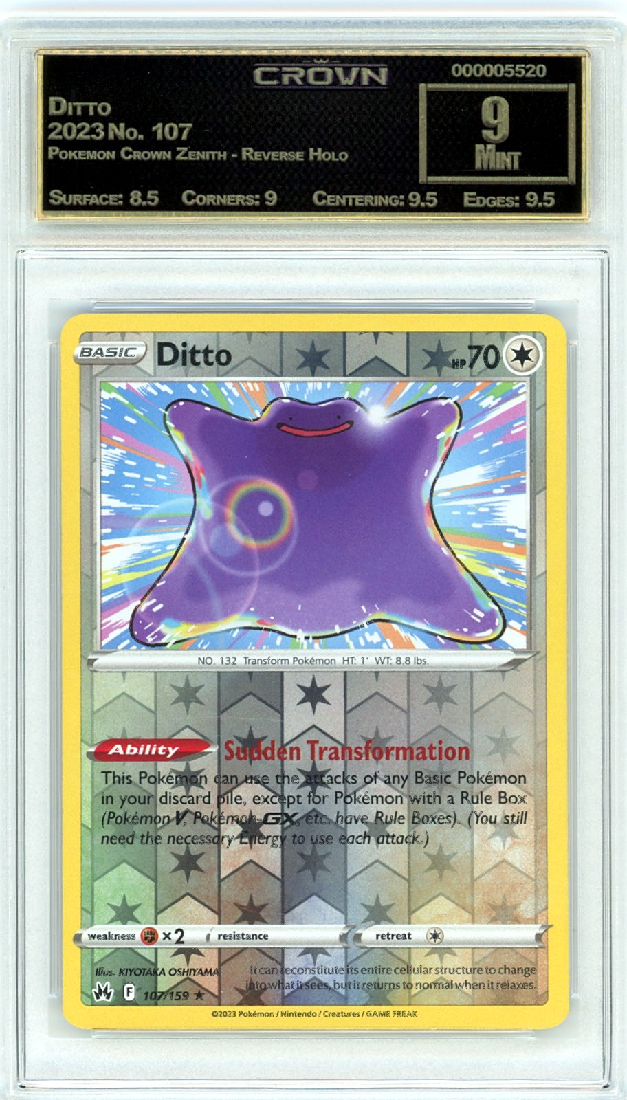 Ditto