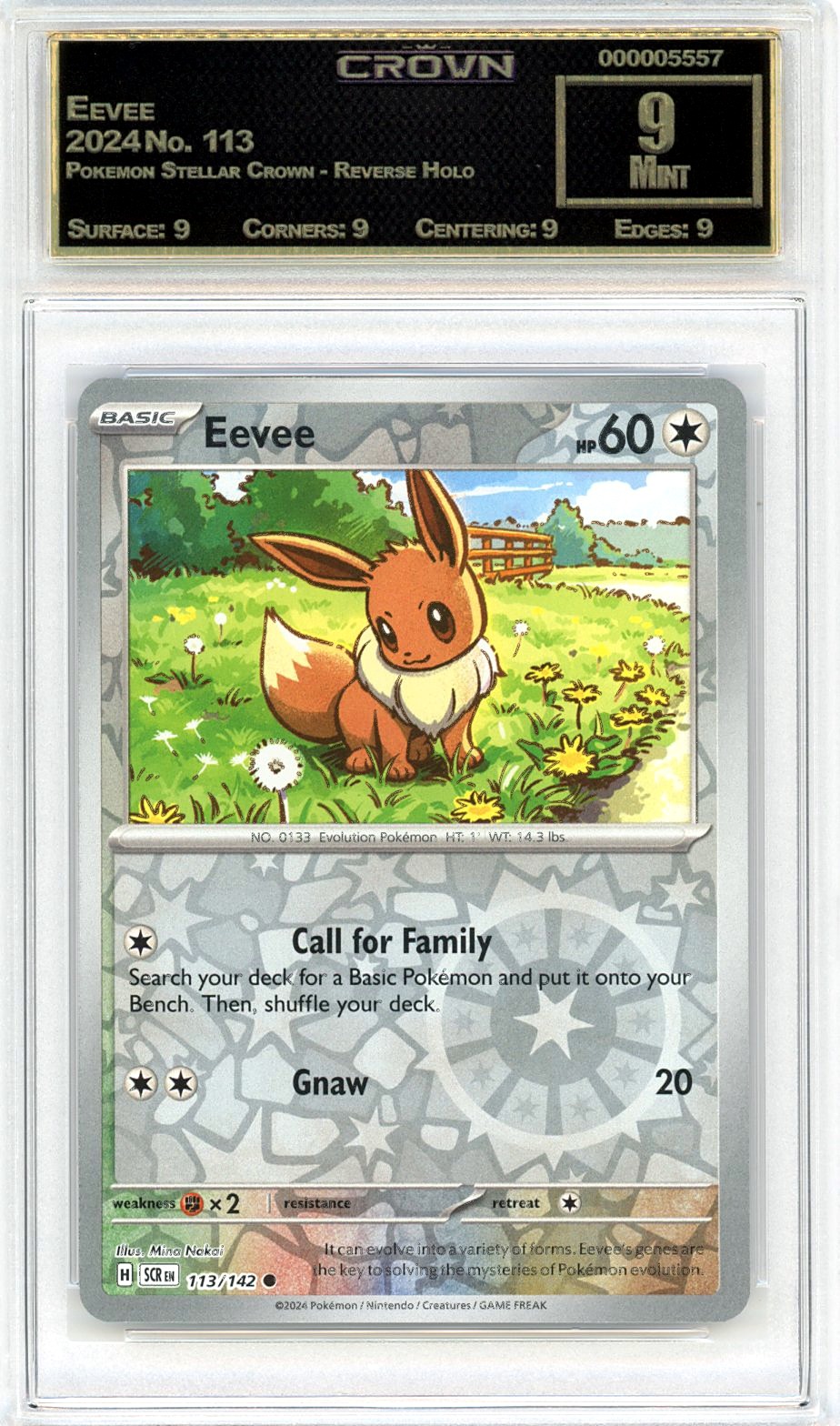Eevee