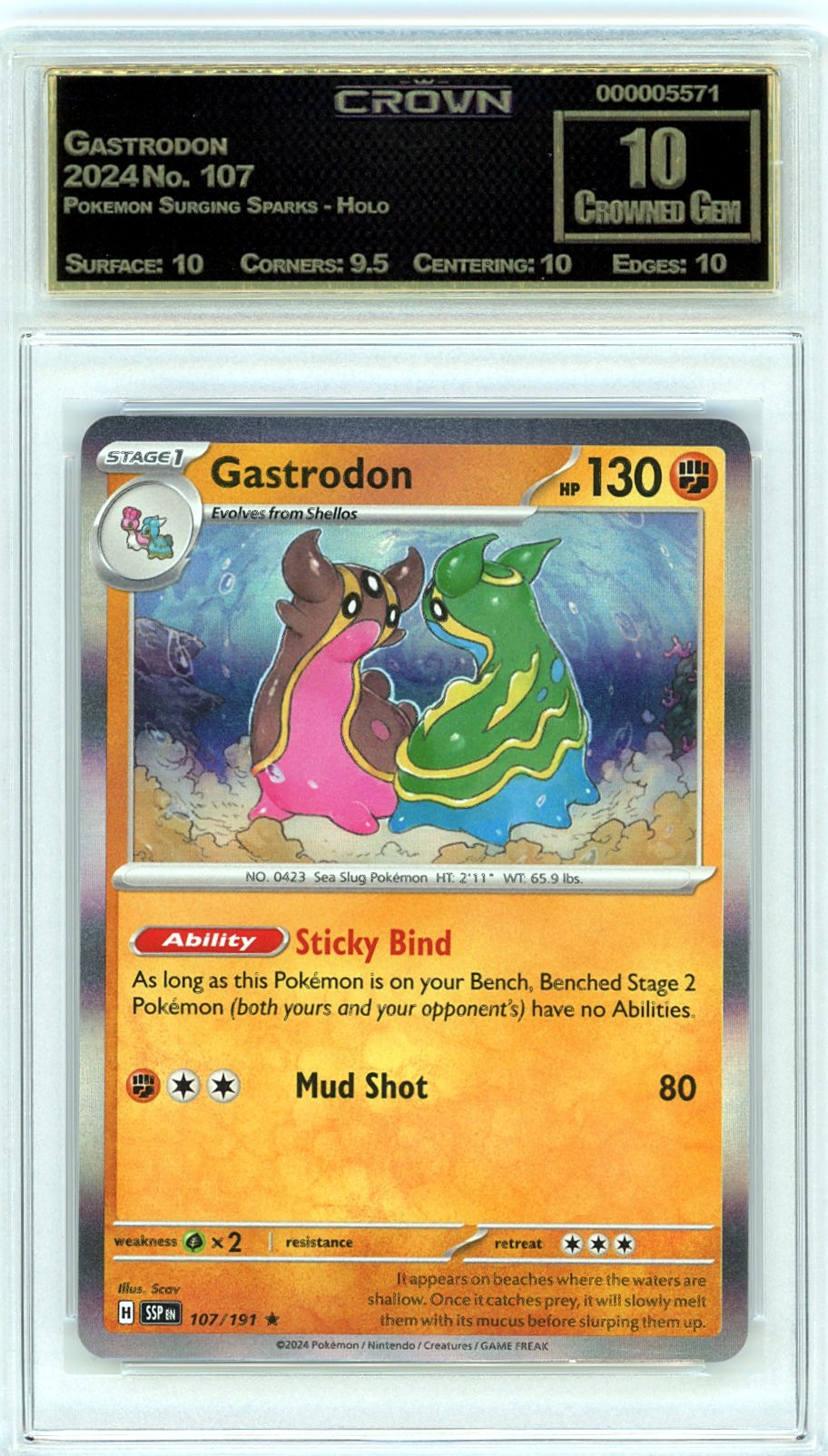 Gastrodon