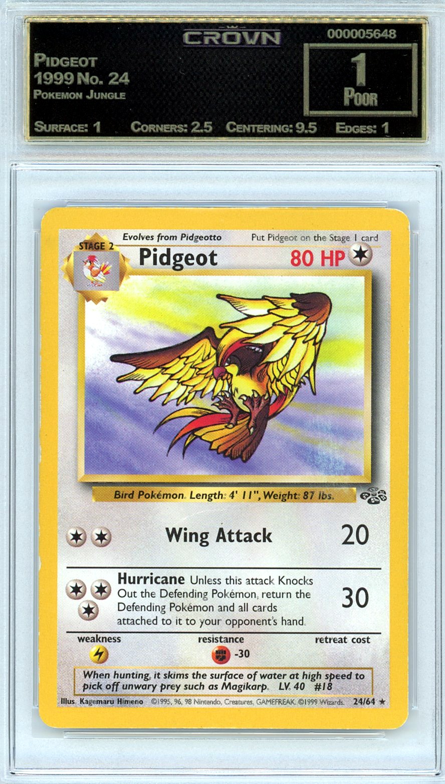 Pidgeot