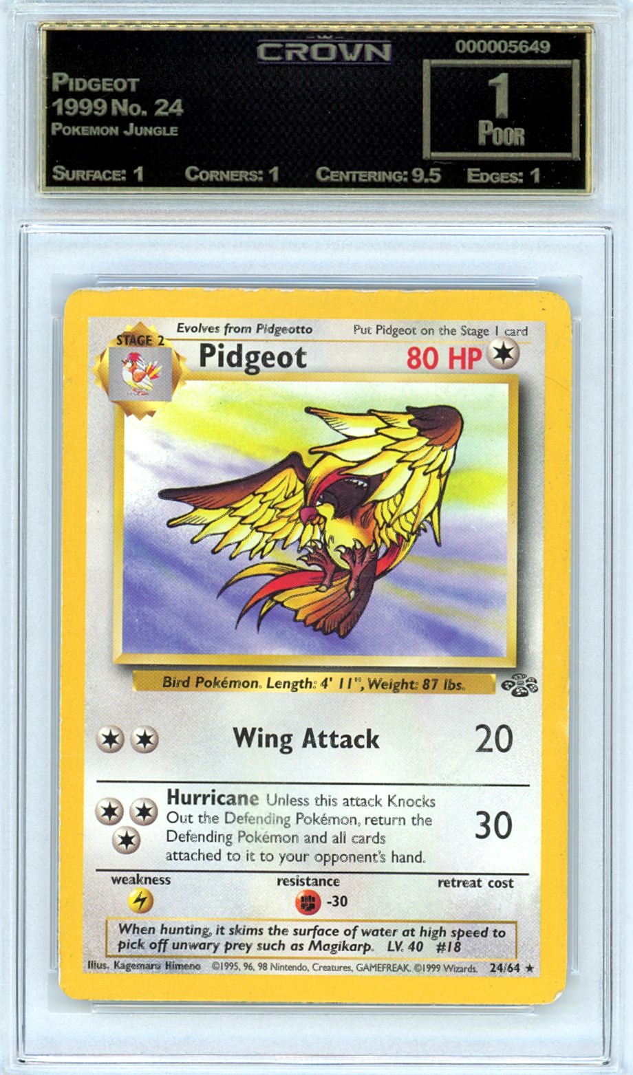 Pidgeot