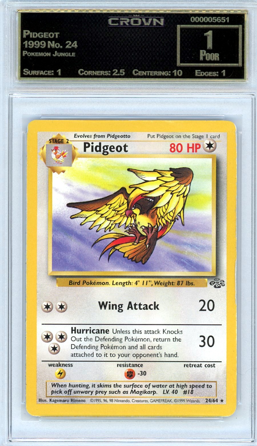 Pidgeot