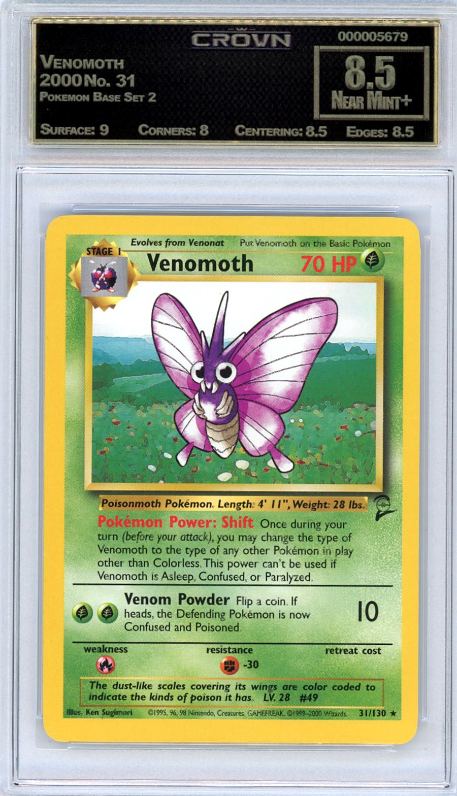 Venomoth
