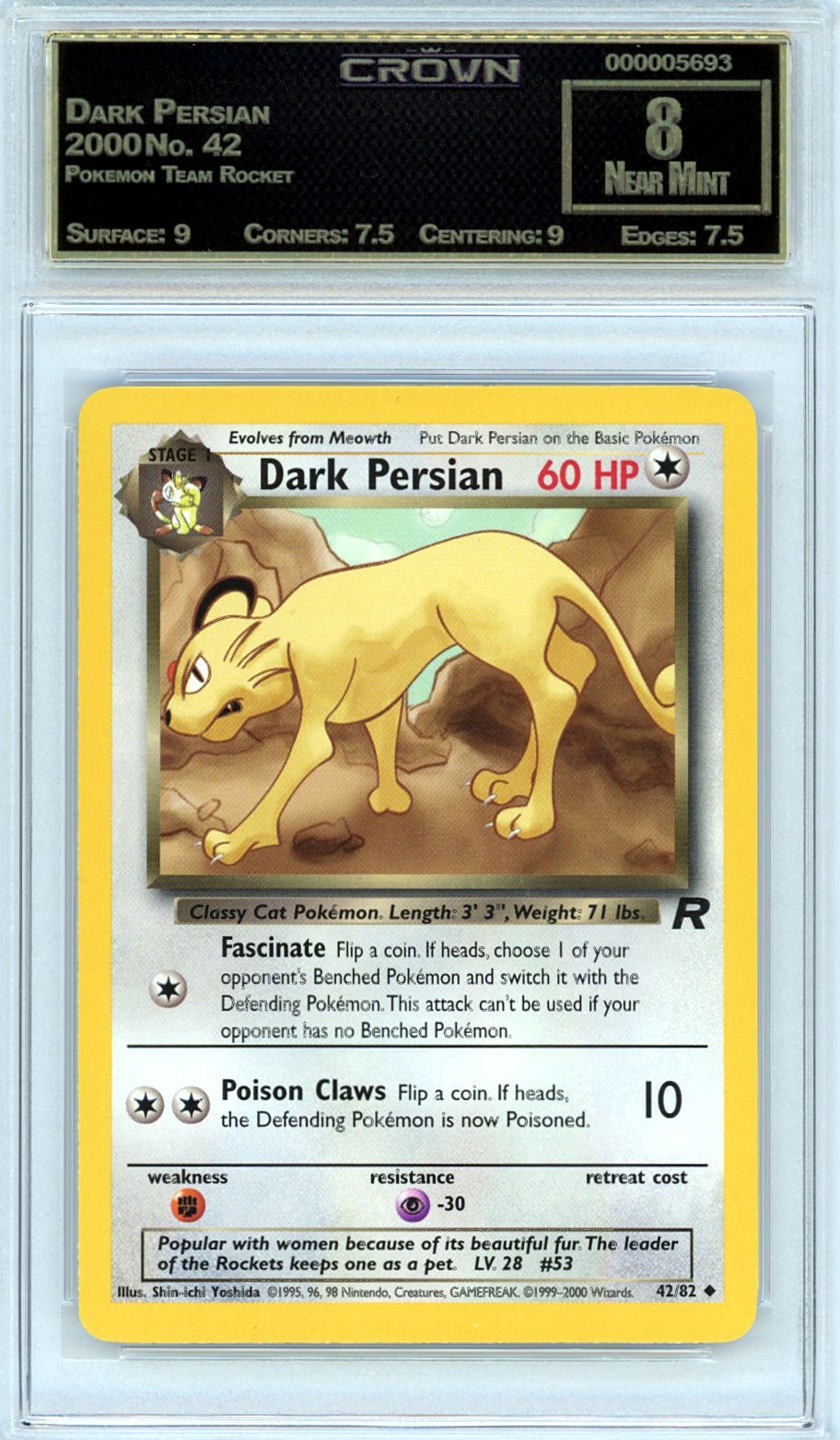 Dark Persian