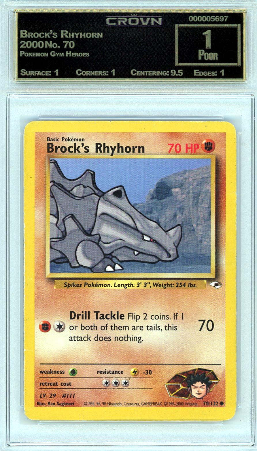 Brock's Rhyhorn